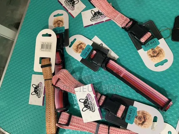 Adult Collar/Belt For Toy Dogs · Photo 1