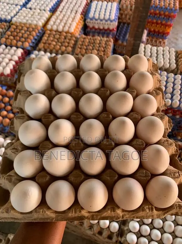 Fresh Eggs · Photo 1