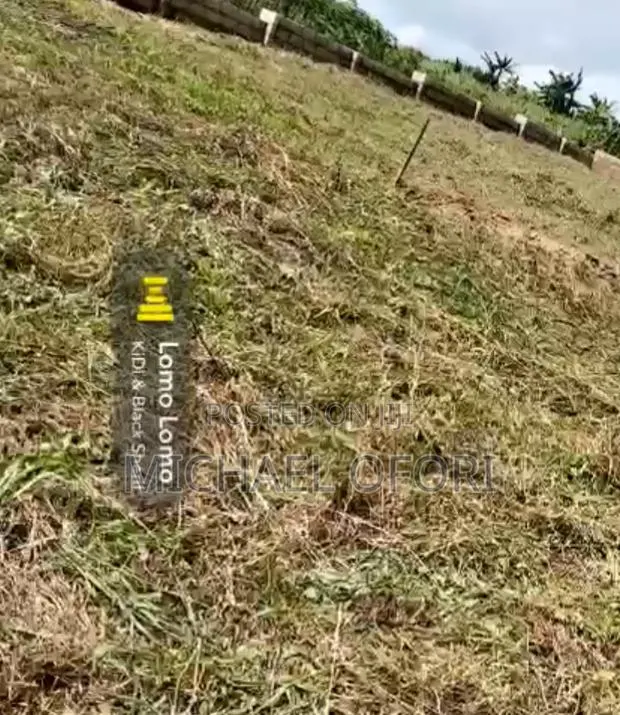 Litigation Free Land Up for Grabs · Photo 1