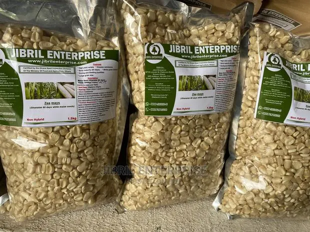 Deux Mois, Togolese 60 Days, Very Resilient Maize Seeds for Planting · Photo 1