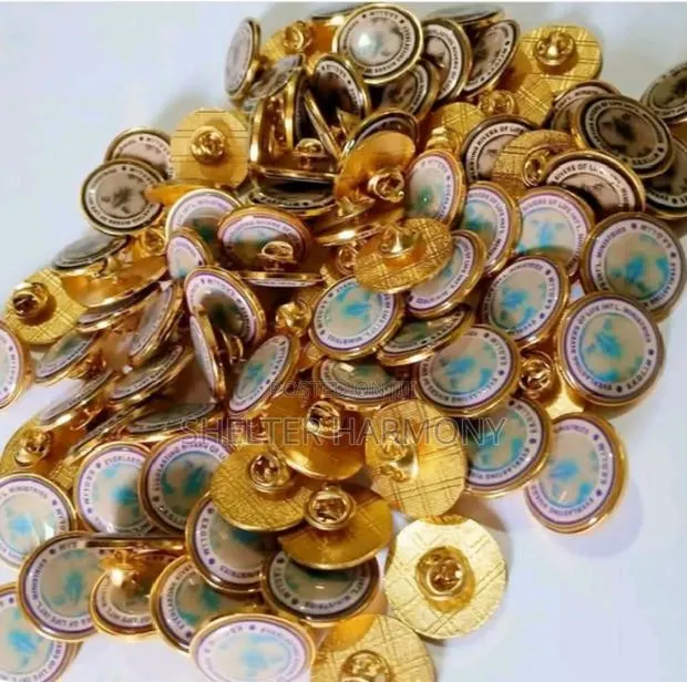 Lapel Pin/Brooch · Photo 1