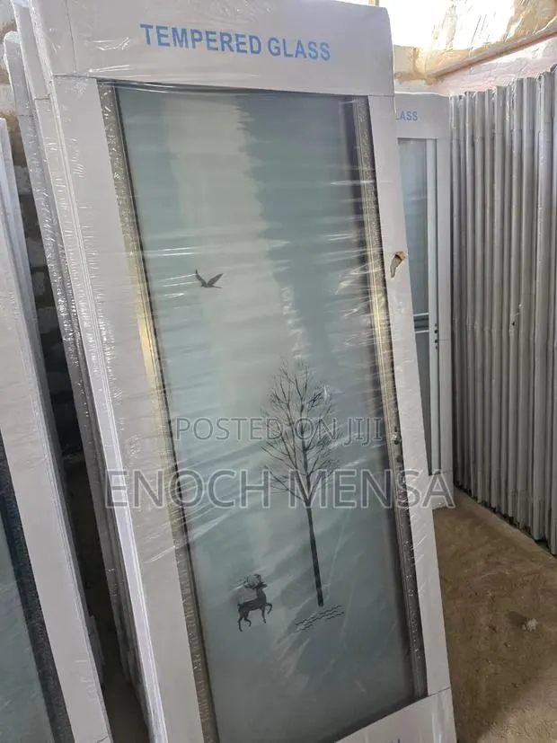 Tempered Glass Toilet/Bathroom Door · Photo 1