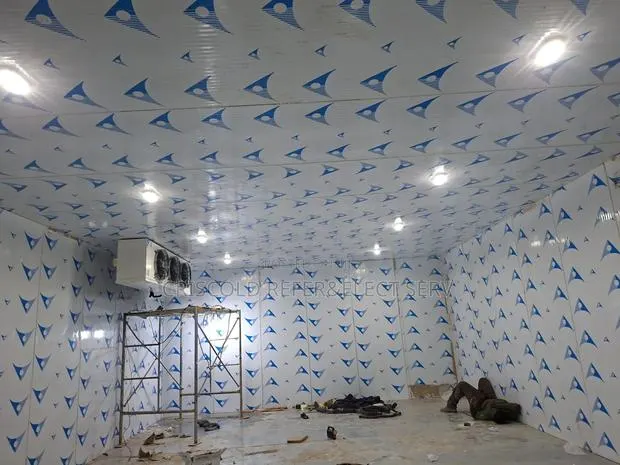 Coldroom Panels and Systems for 12ft X10ft X10ft · Photo 1