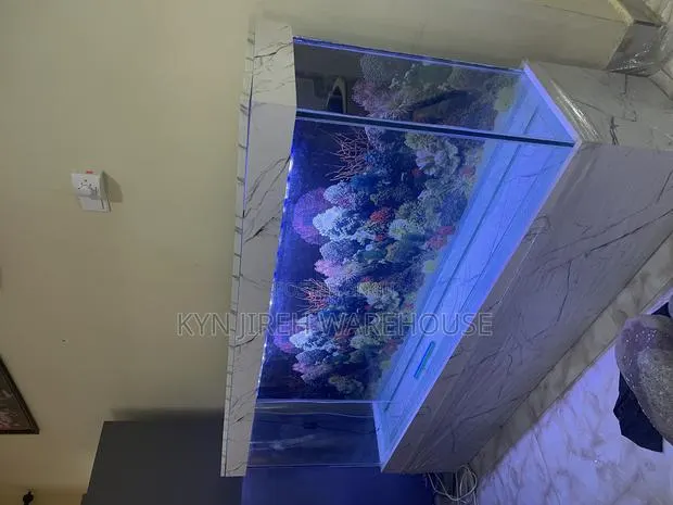 Hon Aquarium With 15 Live Fishes · Photo 1