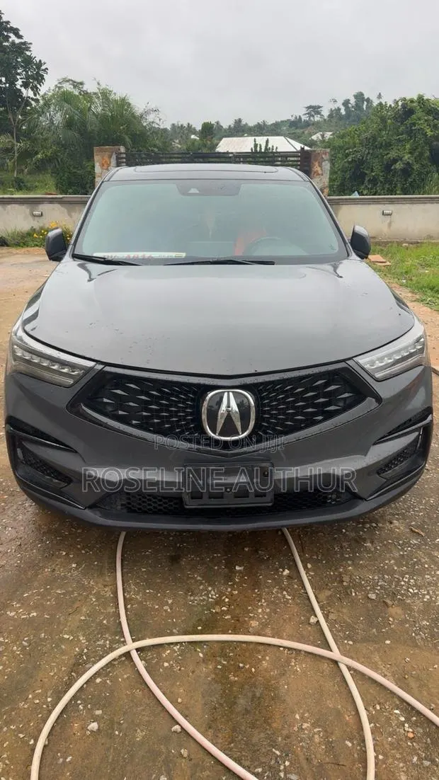 Acura RDX A-Spec Pkg AWD 2019 Gray · Photo 1