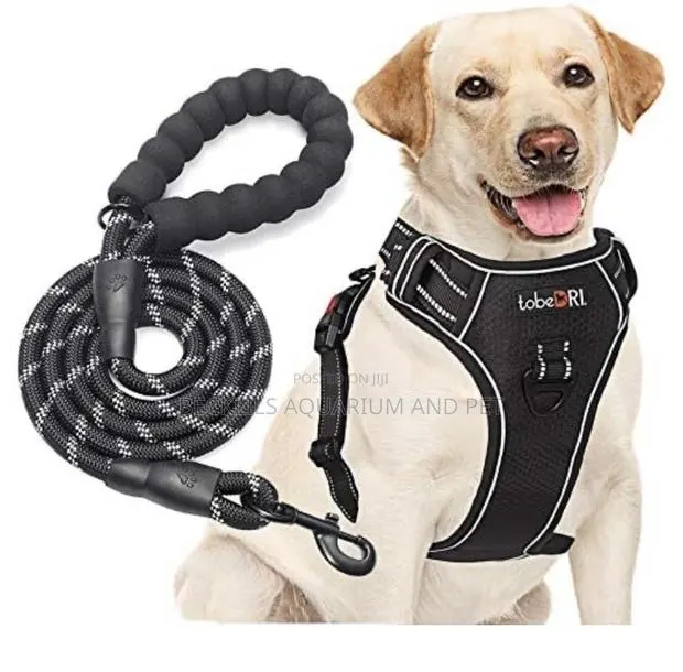 Long Leash With Potable Harness · Photo 1