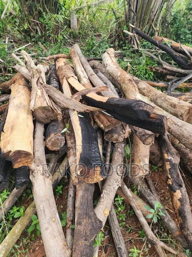 Wood for Charcoal or Firewood · Photo 1
