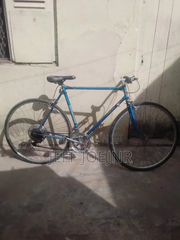 Bicycle Blue · Photo 1