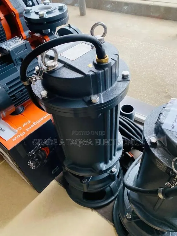 Leo 10 Horsepower Sewage Water Pump · Photo 1