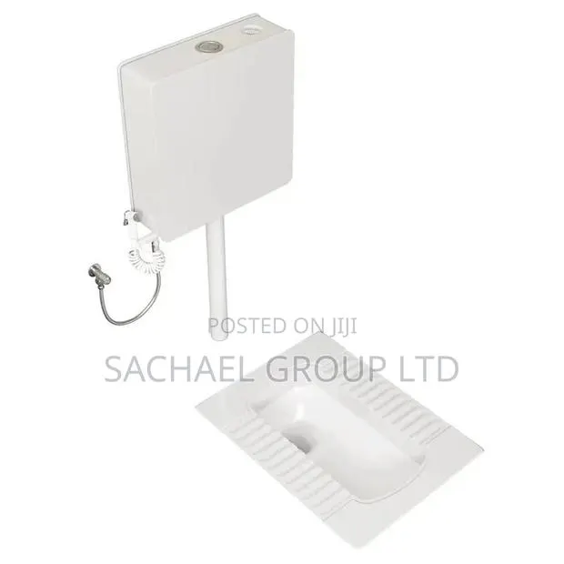 Squatting Toilet With Wall- Mounted Tank · Photo 1