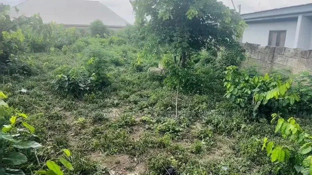 Registered Land for Sale · Photo 1