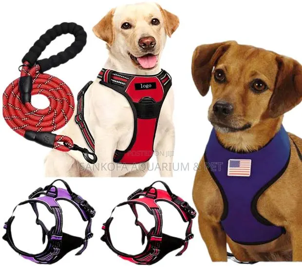 Quality Dog Harness With Leash · Photo 1