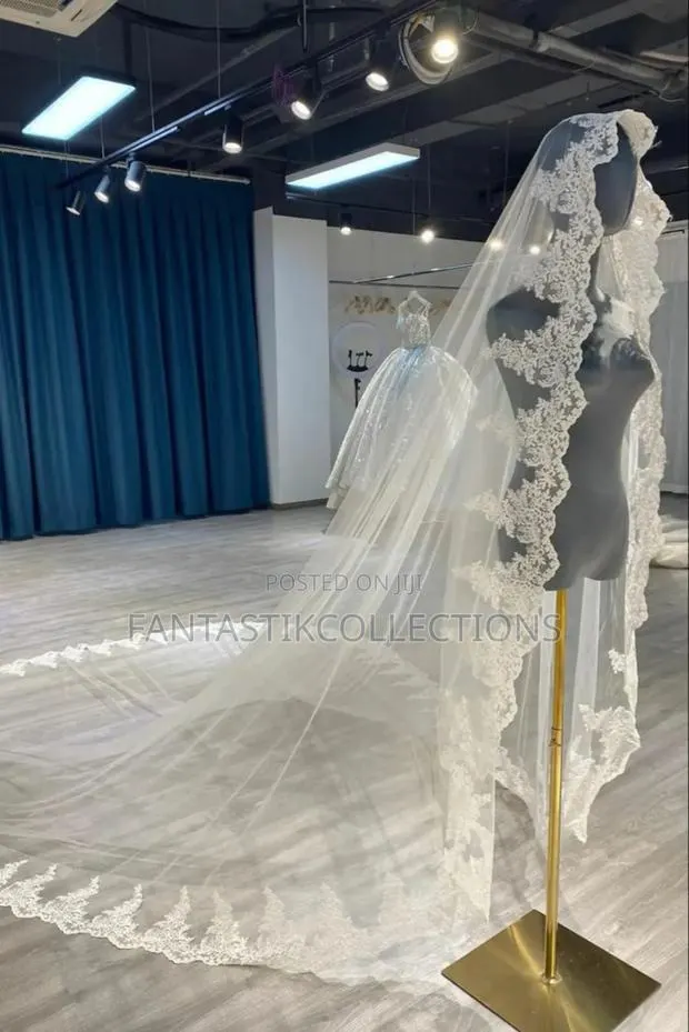 Elegant Long Luxury Cathedral Wedding Veil – Lace Edges · Photo 1
