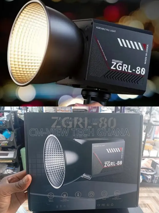 Palm Photography Lights (Zgrl-80) · Photo 1