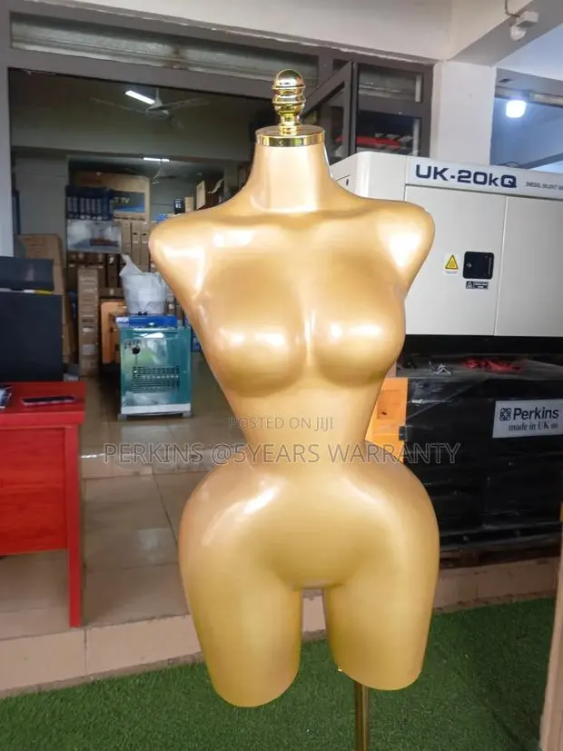 Female Half Body Display Mannequin · Photo 1