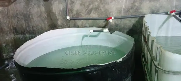 Catfish Hatchery Contract · Photo 1