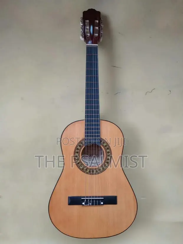 Encore Enc 120FT Classical Guitar 3/4 Size With Bag · Photo 1