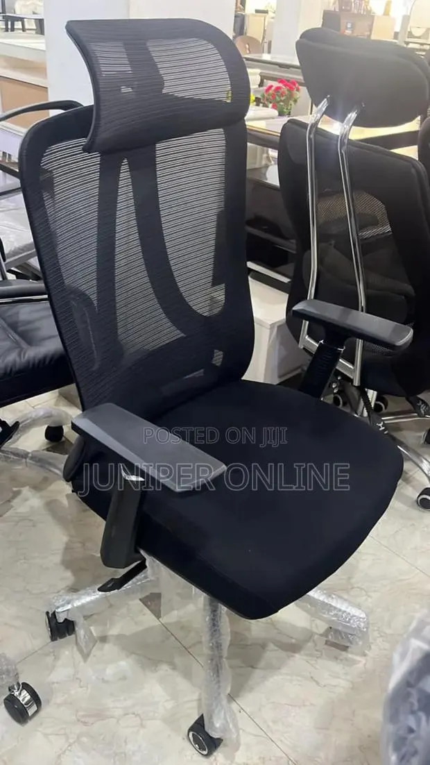 Ergonomic Chair · Photo 1