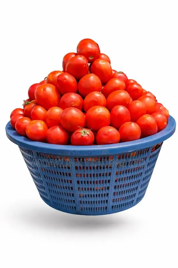 Fresh Tomato 1 Basket (14-15kg) · Photo 1