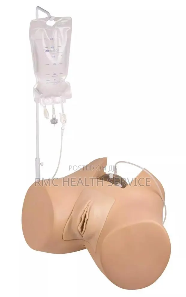 Medical Catheterization Manikin (Female) · Photo 1