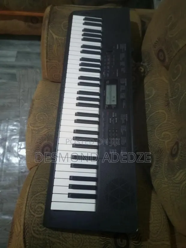 Musical Instrument for Church Party · Photo 1