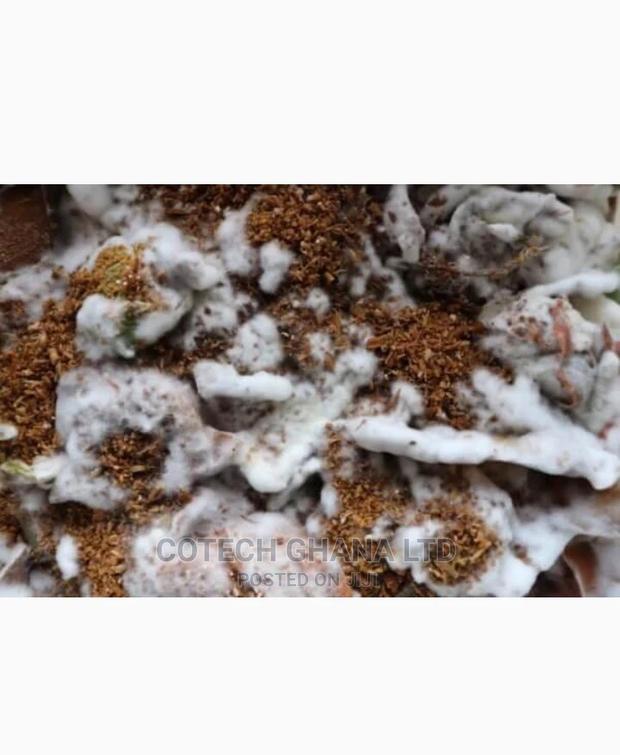 Bio Enzymes (Decomposer) for Biofil/Digester/Kill Bad Odour · Photo 3