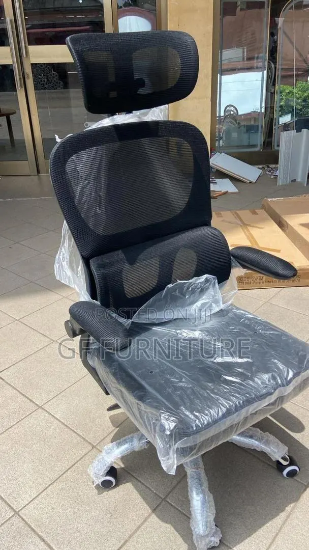 Ergonomic Mesh Office Chair · Photo 1