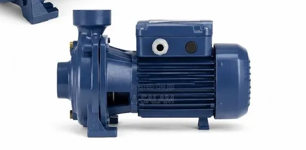 PEDROLLO 1.5HP Surface Water Pump · Photo 1