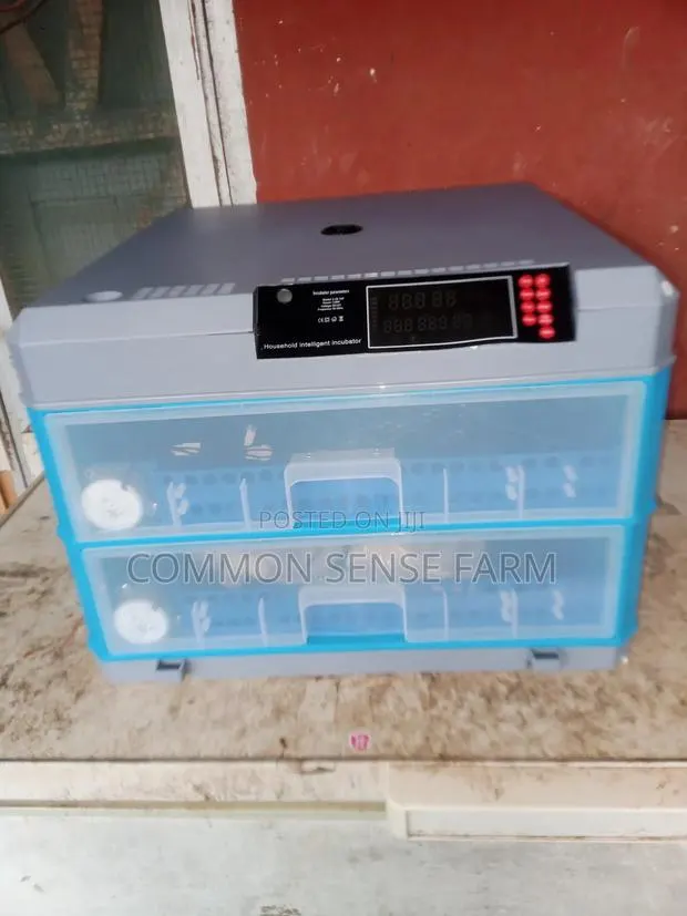 Egg Incubator · Photo 1