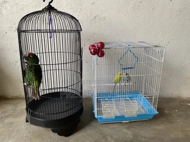 2 Cages for Parrots · Photo 1