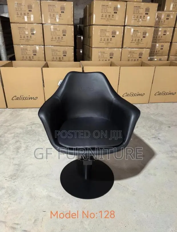 Professional Hair Styling Salon Chair · Photo 1
