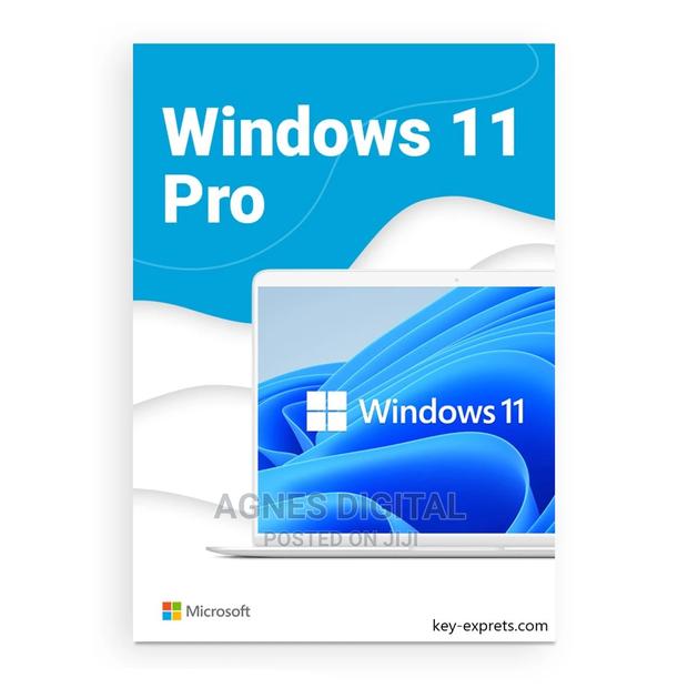 Windows 11 Pro License (Online Key) · Photo 1