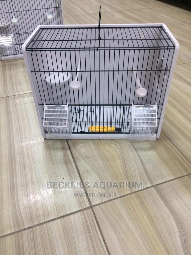 Quality Affordable Birdcage · Photo 2