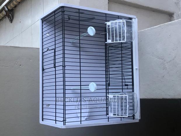 Large Bird Cages N More · Photo 3