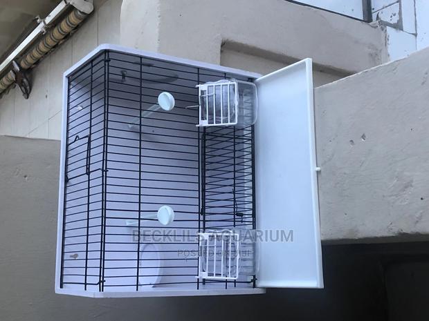 Large Bird Cages N More · Photo 2