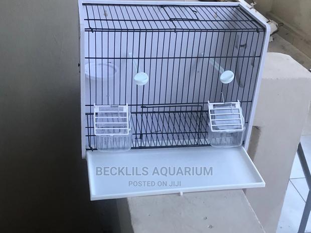 Large Bird Cages N More · Photo 1