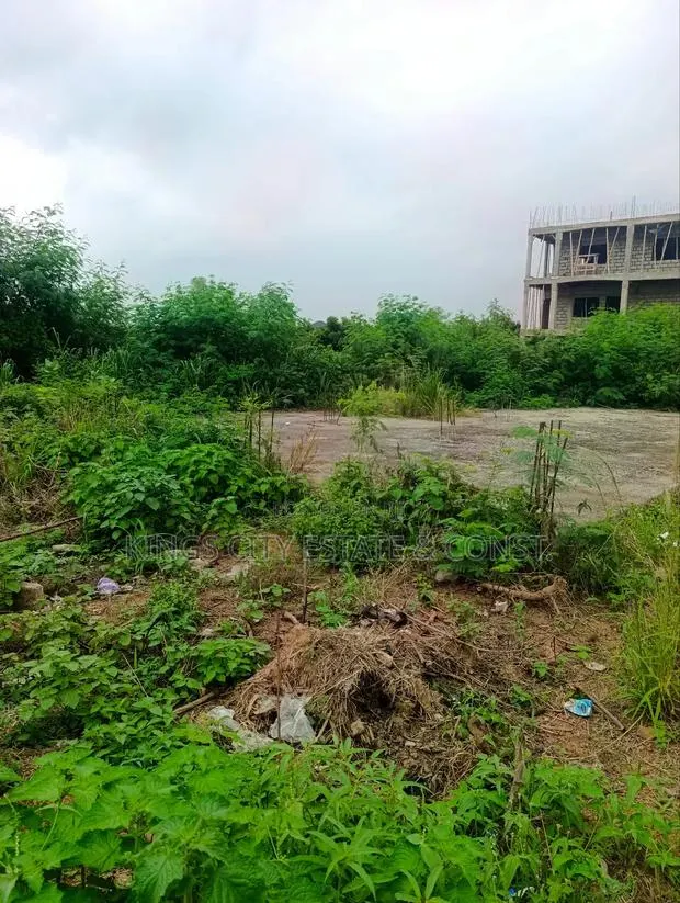 1 Plot of Land With Document for Sale at Odumasi Estate · Photo 1