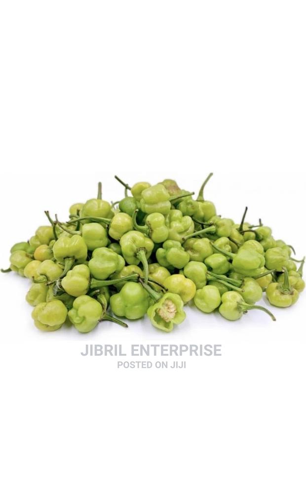 Kpakposhito Pepper, Butt Cheek Pepper (Solanum Chinese) · Photo 1