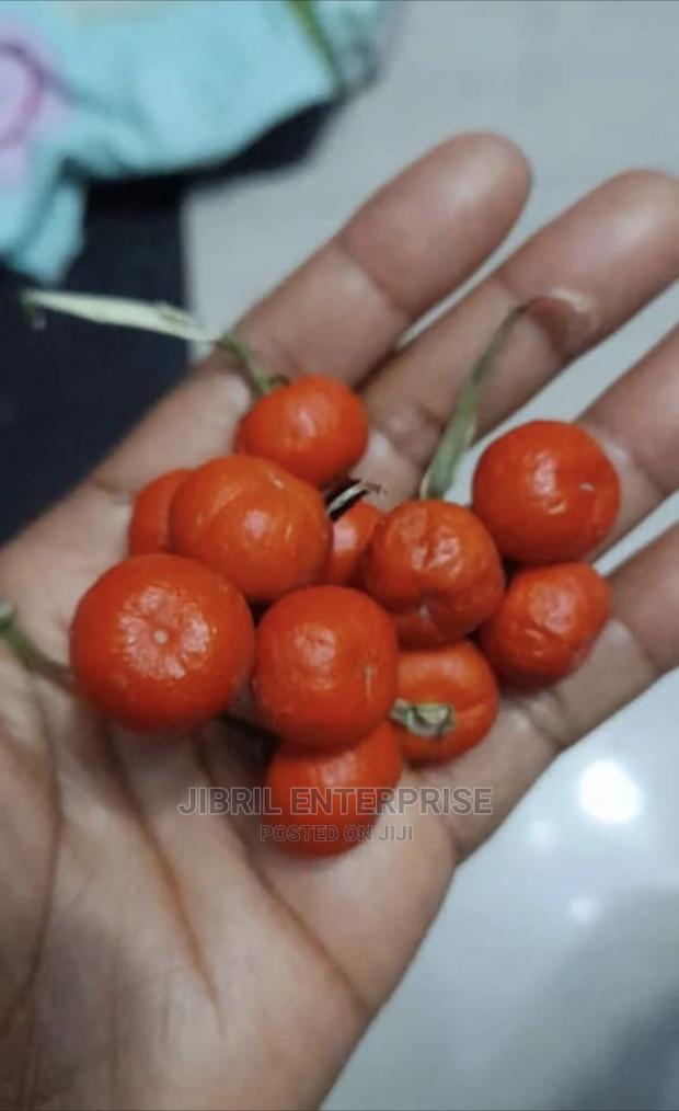 Nigerian Eggplant · Photo 2