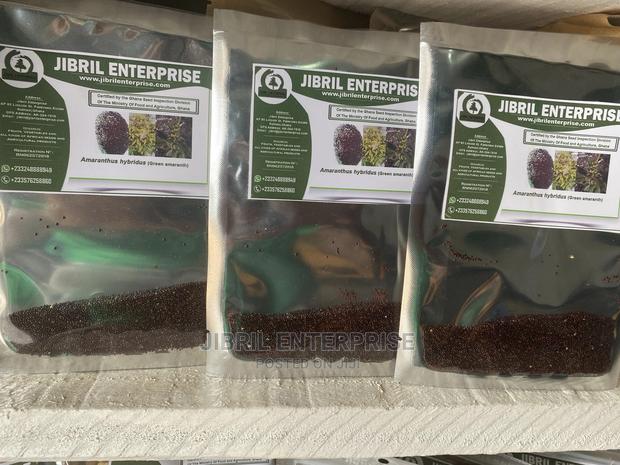 Green Amaranth · Photo 4