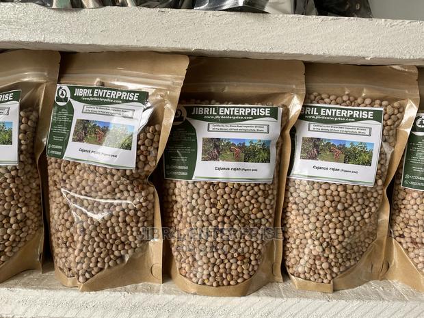 White Pigeon Pea(Cajanus Cajan), 1kg /50gh · Photo 1
