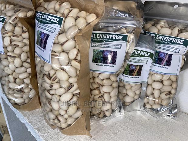 Jack Beans (Canavalia Ensiformis) · Photo 3