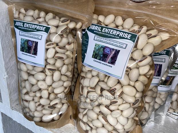 Jack Beans (Canavalia Ensiformis) · Photo 4