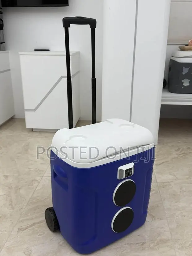 Imported Modernised Ice Chest With Music Speaker · Photo 1