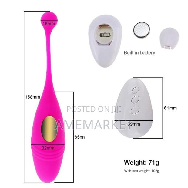 Lush 2 Vibrator, Panties Wearable G-Spot Clitoris Sex Toy · Photo 2