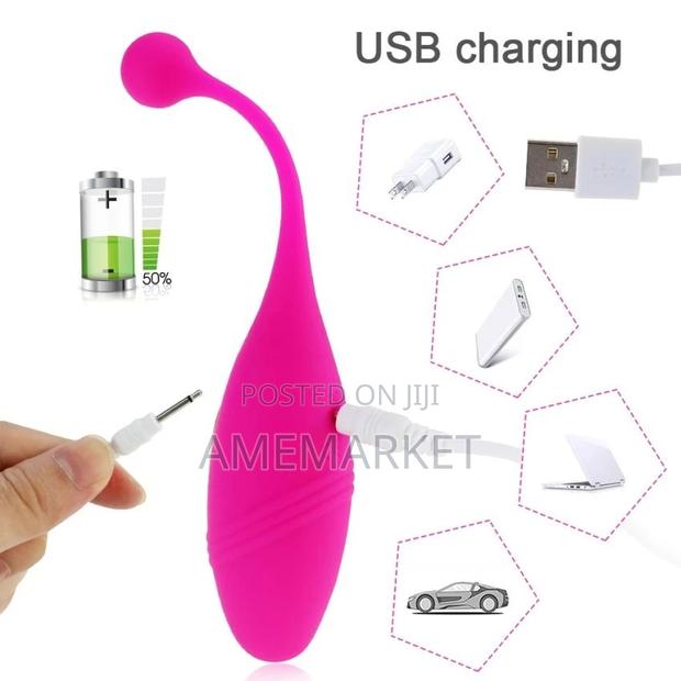 Lush 2 Vibrator, Panties Wearable G-Spot Clitoris Sex Toy · Photo 3