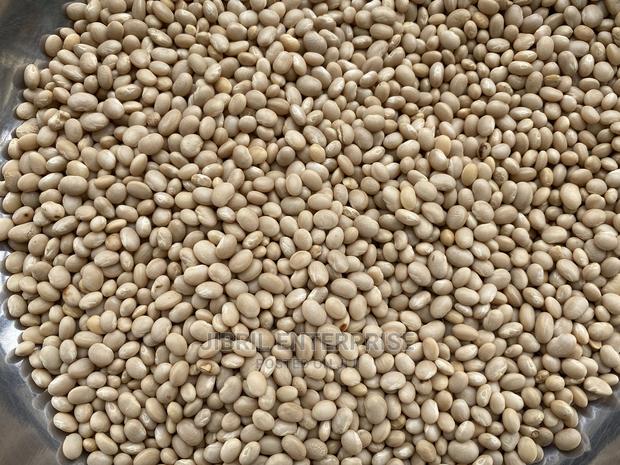 Macrotyloma Geocarpum(Kersting’S Groundnut) · Photo 1