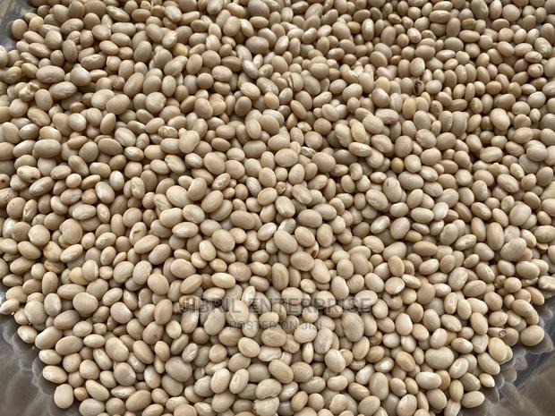 Macrotyloma Geocarpum(Kersting’S Groundnut) · Photo 4
