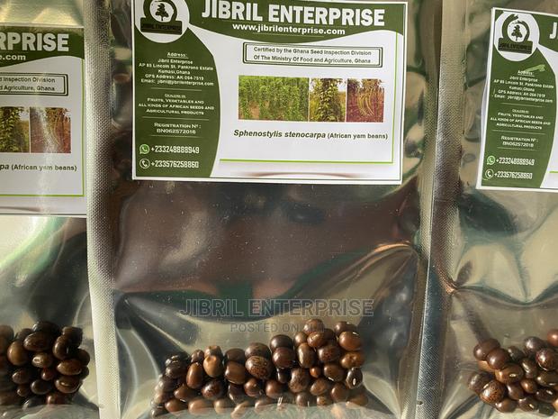 African Yam Beans(Sphenostylis Stenocarpa) · Photo 3