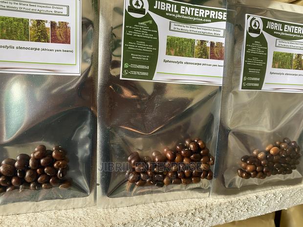 African Yam Beans(Sphenostylis Stenocarpa) · Photo 4
